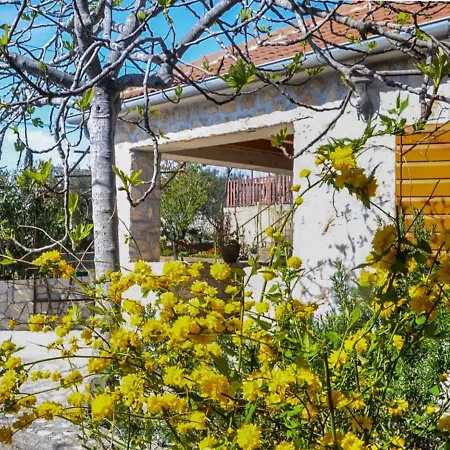 Holiday Home Ceko By Interhome Holiday home Sukosan