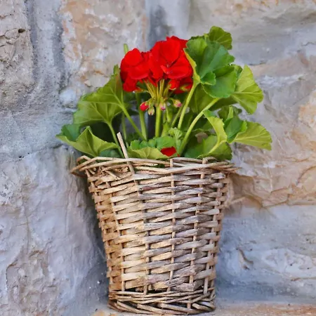 Ceko By Interhome Sukošan