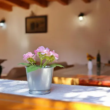 Holiday home Holiday Home Ceko By Interhome *