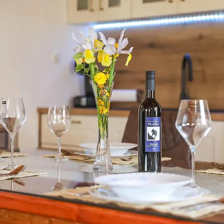 Dom wakacyjny Ceko By Interhome Sukošan