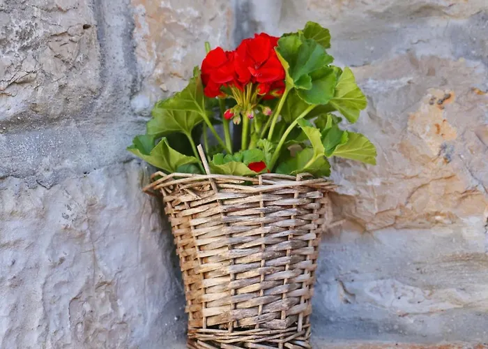 Ceko By Interhome Sukošan